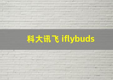 科大讯飞 iflybuds